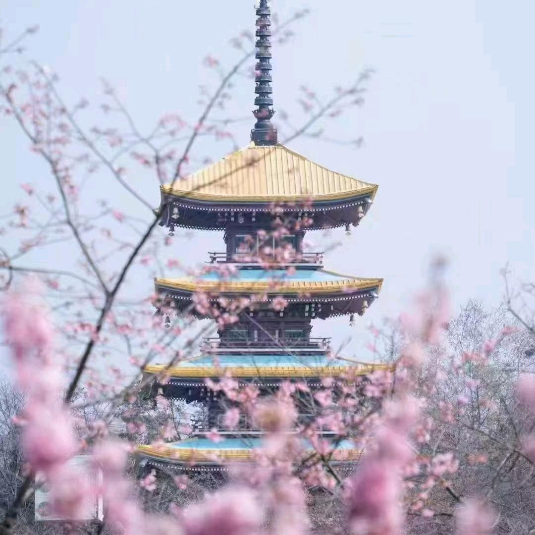 ღ᭄亿心ღ向钱ღ᭄