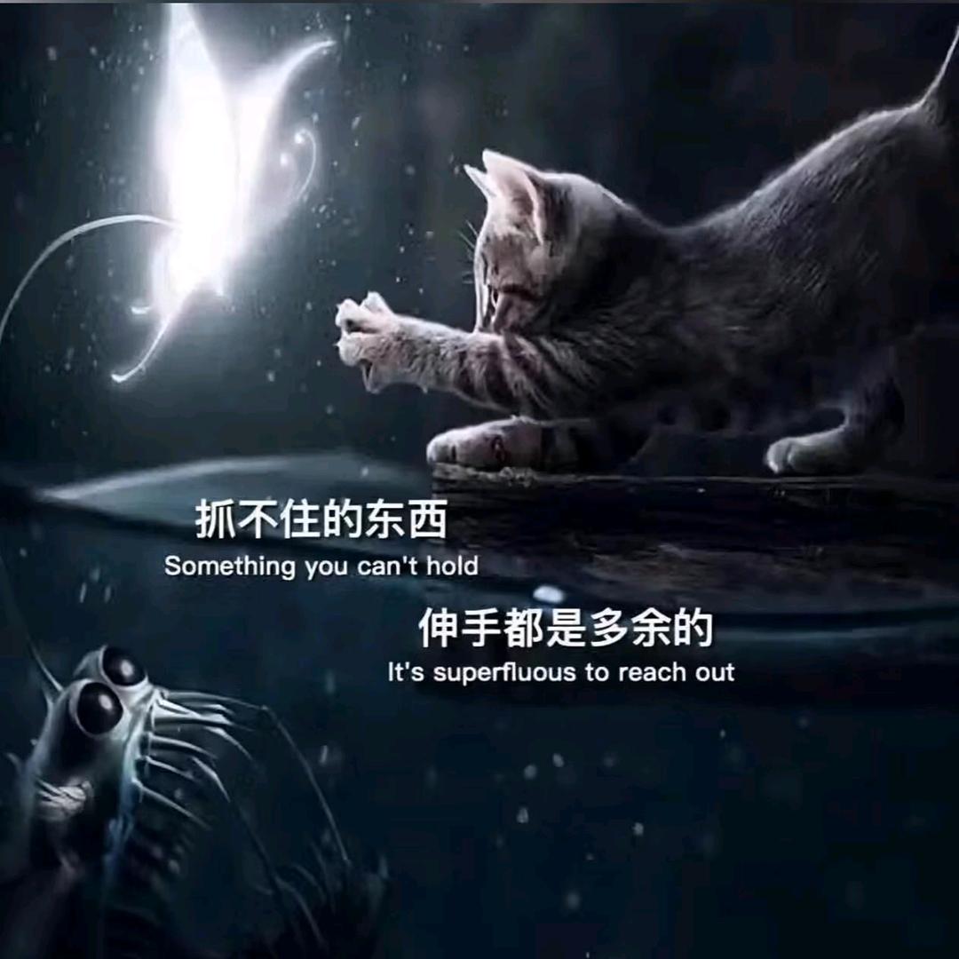 一    切   归    零