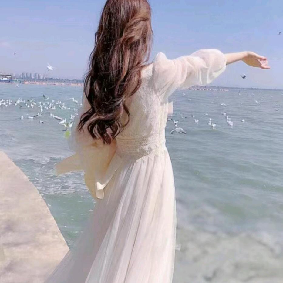 橙橙情感