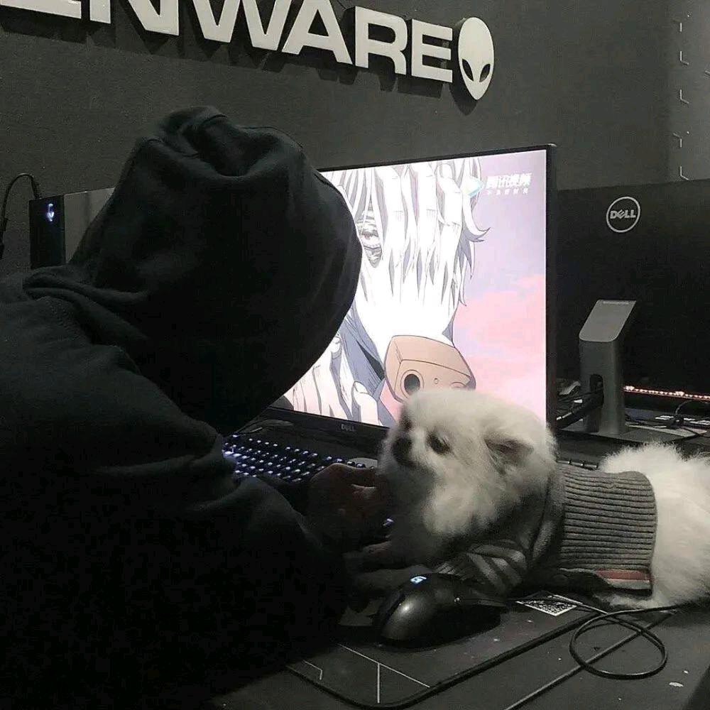 想不出来叫什么