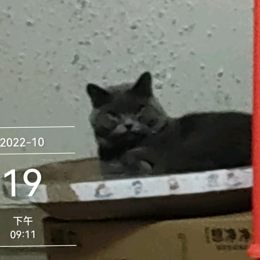 挑战不可能，战神。