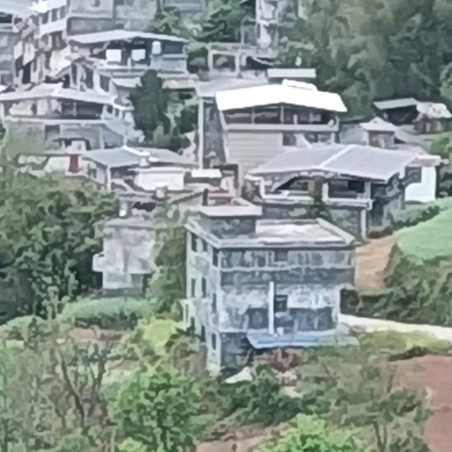 二丫头
