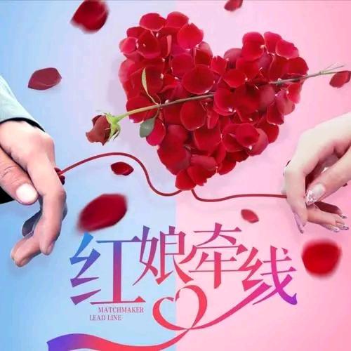 邢台红娘～宋姐