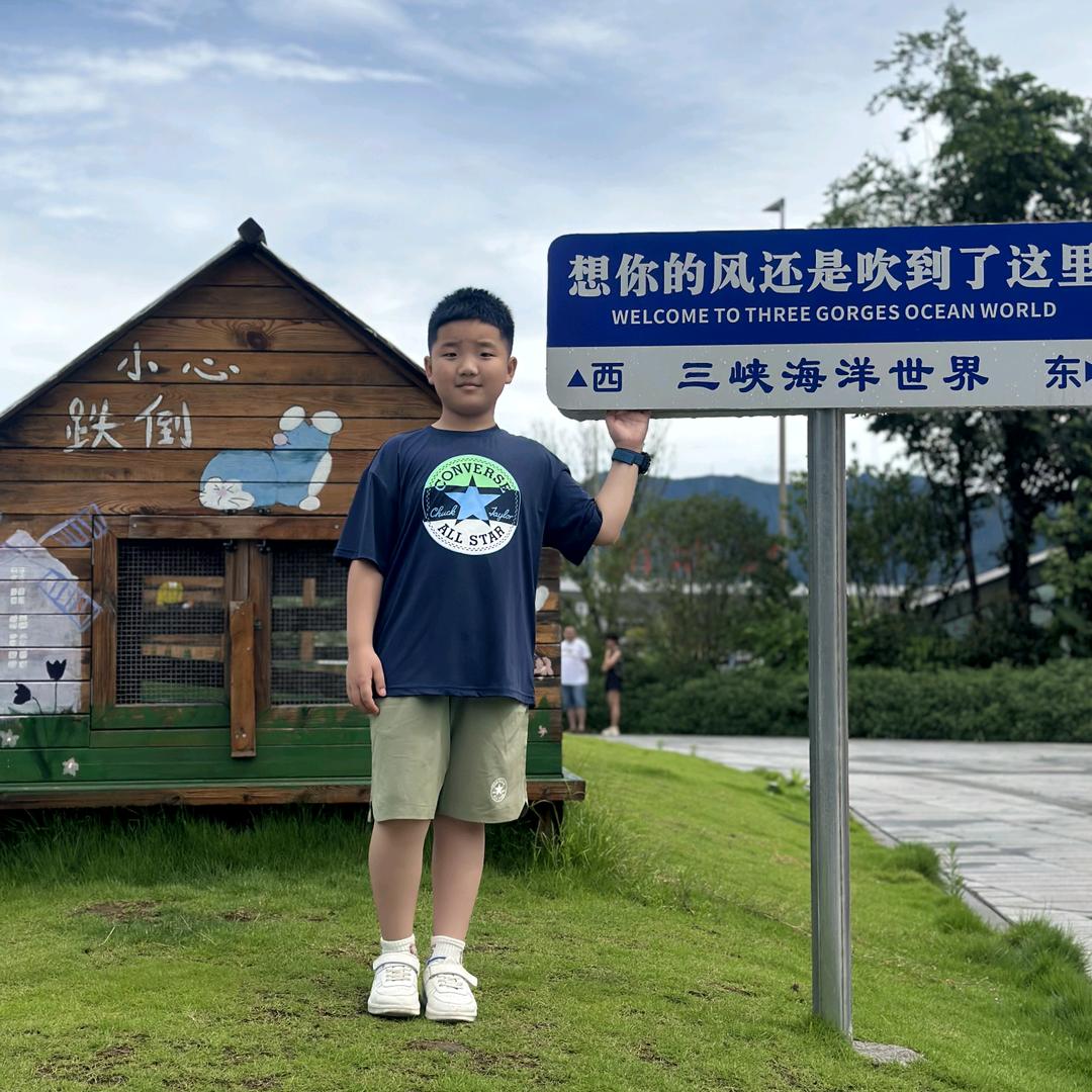 王子bb