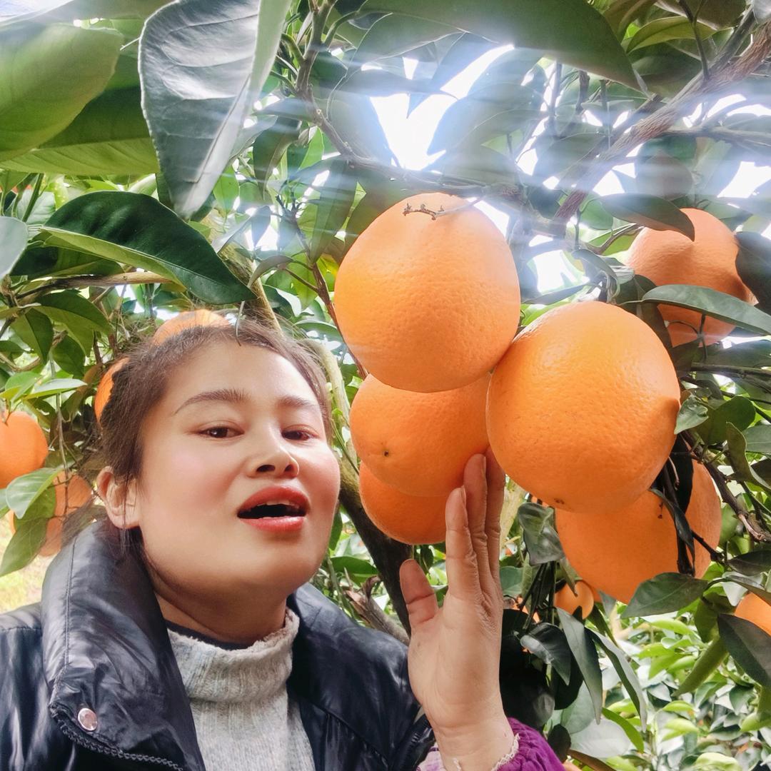 小吴，买雷波脐橙的来找我