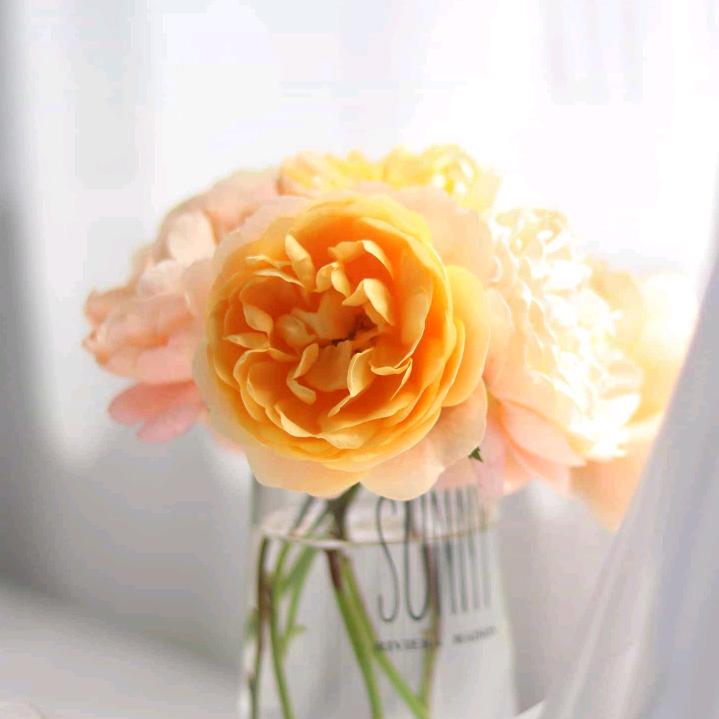 陈姐姐