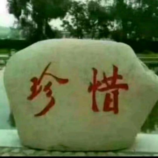 谁懂我
