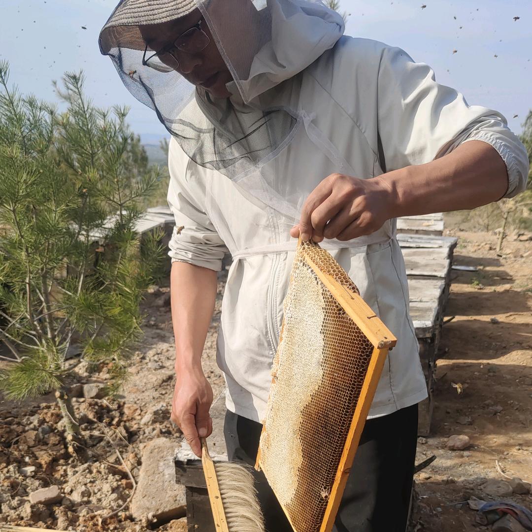 三只小熊蜂产品