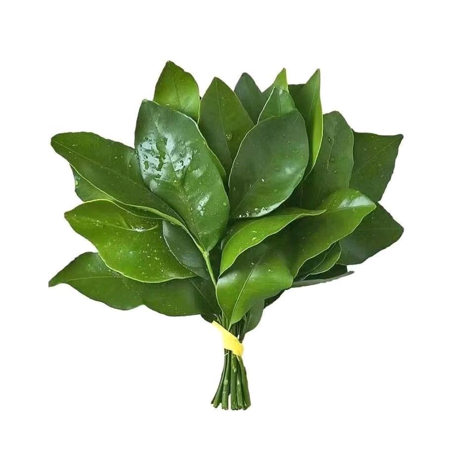 比特仑苏还纯