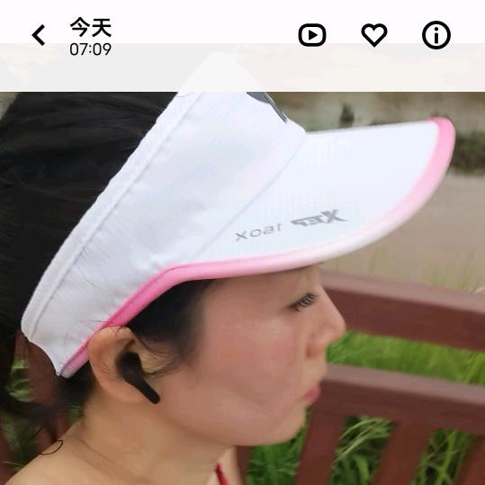文菊