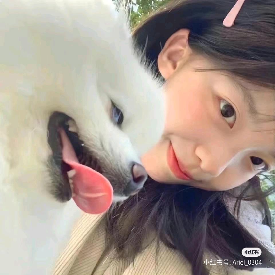 新新小新