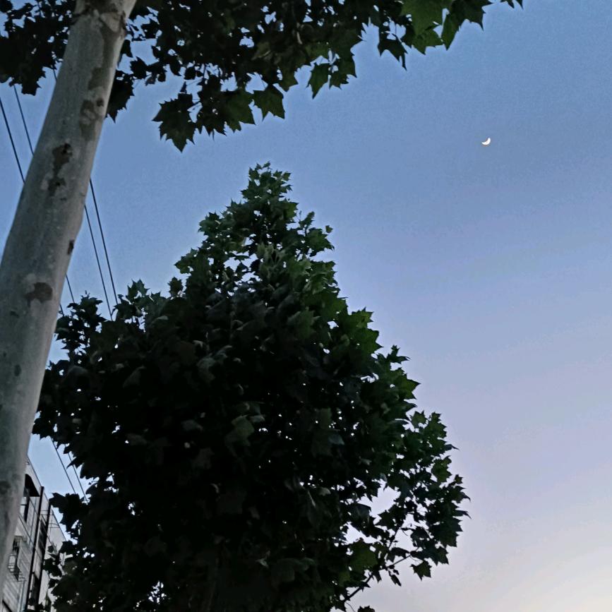 前行路上无所畏惧