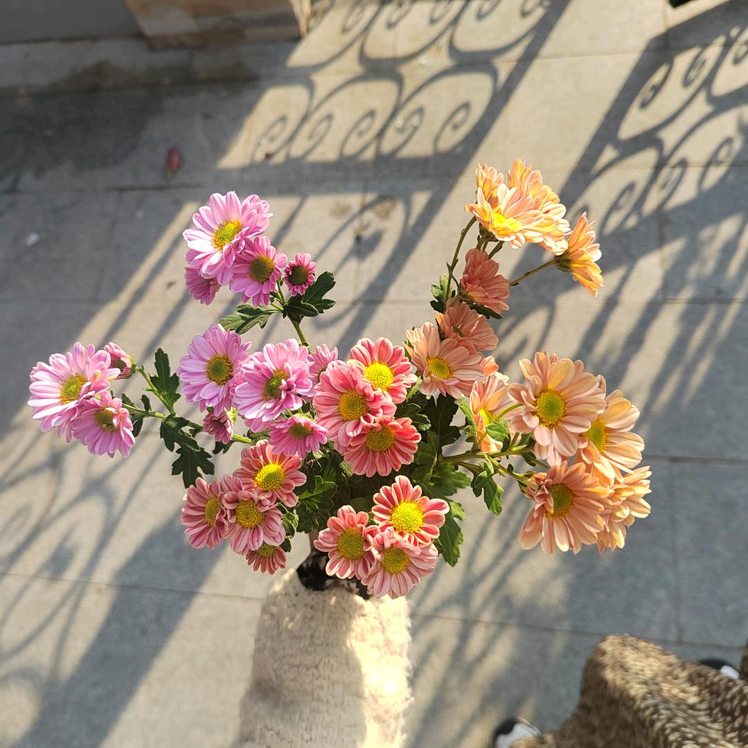 🌈静享时光🌸🍀