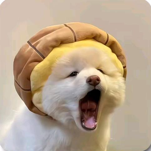 想看日落.