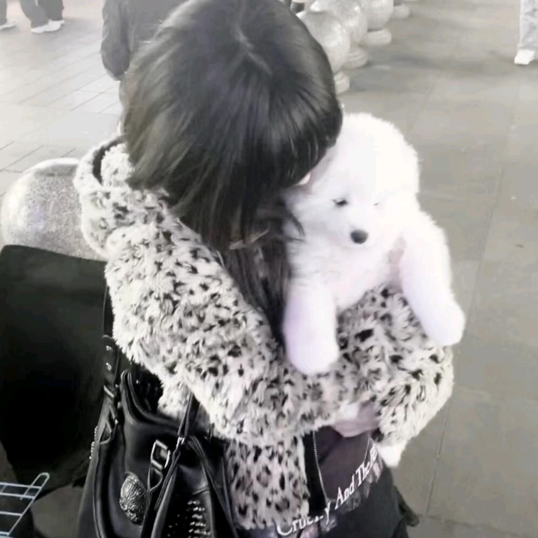 他偷走了我的天真