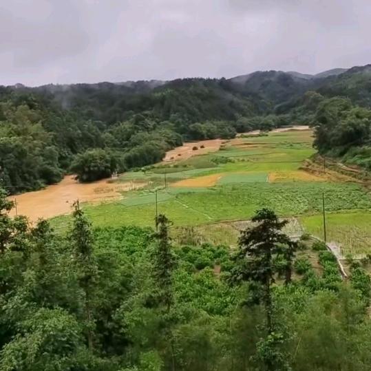 37度的眼泪