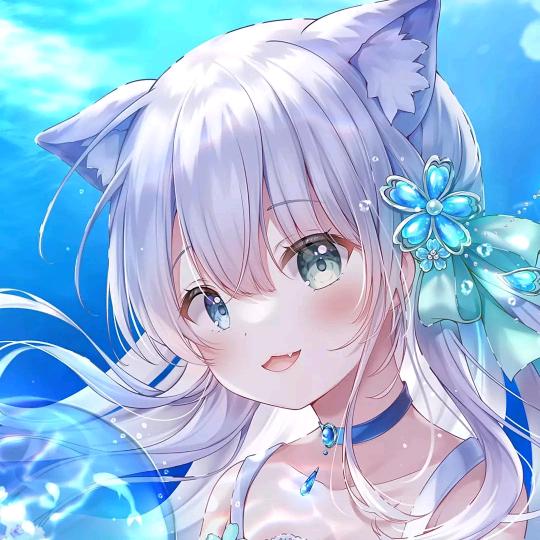 家有3宝贝