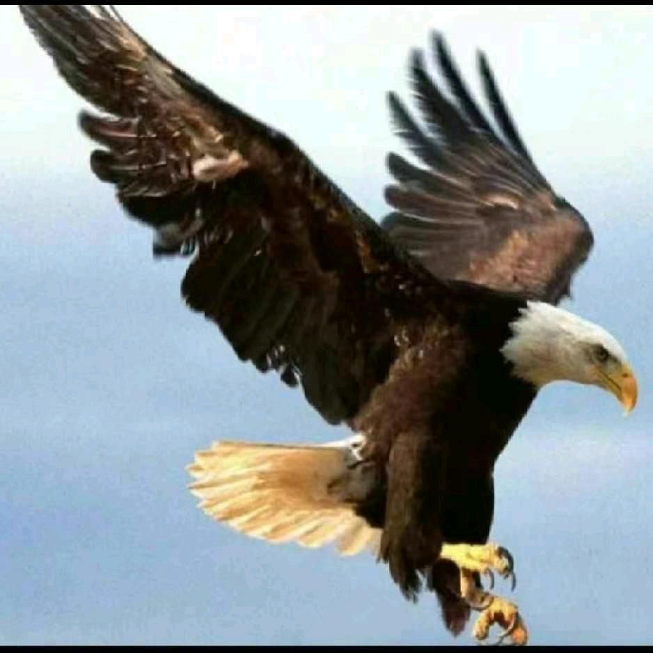 ♥热😘木…ـ٨ـﮩﮩ٨ـ♡♥