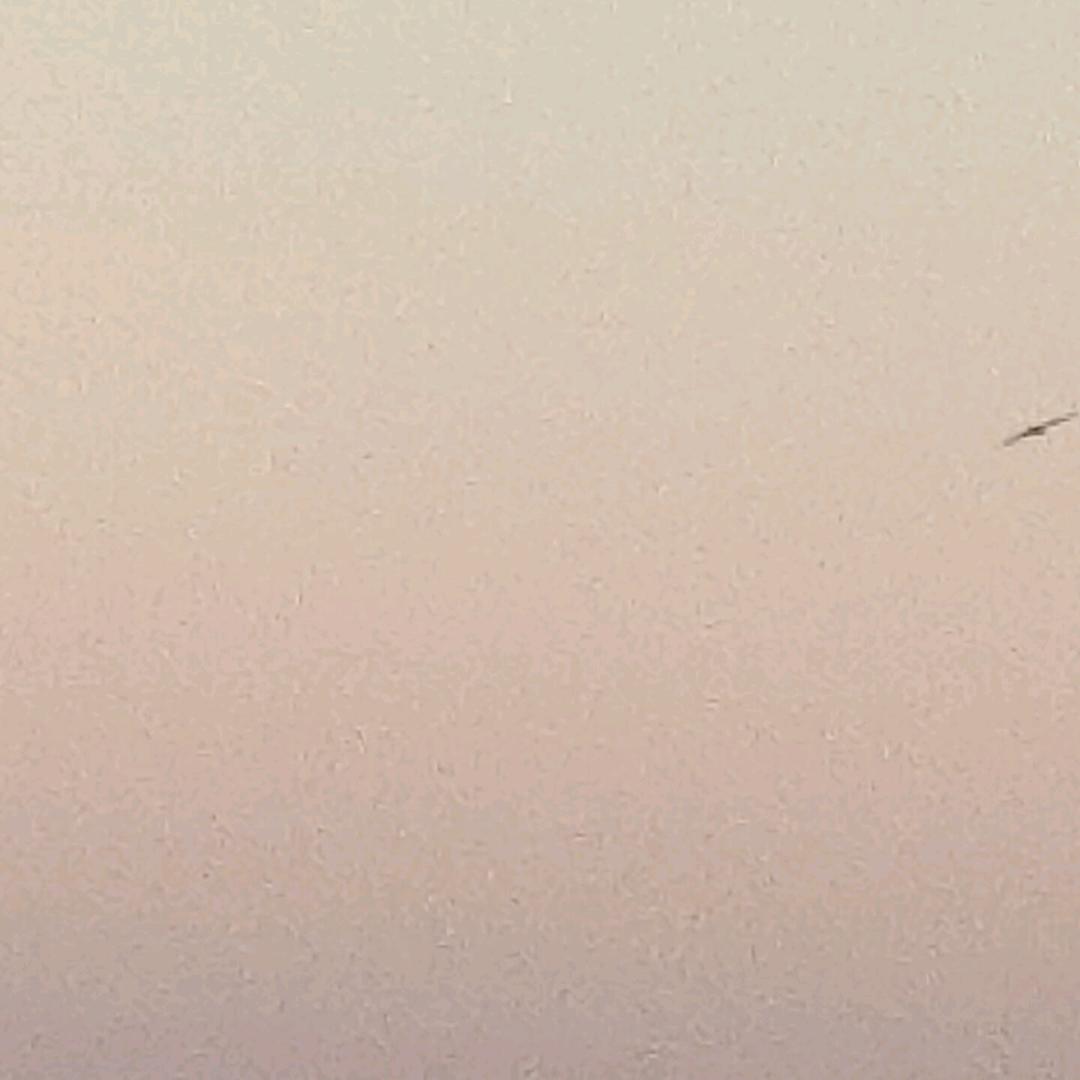 我是小小垃圾桶