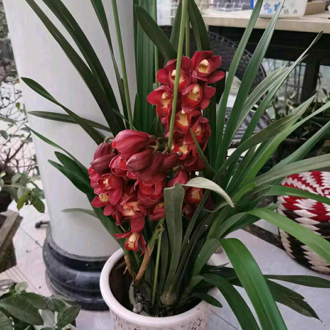 我是疯人谢谢关注
