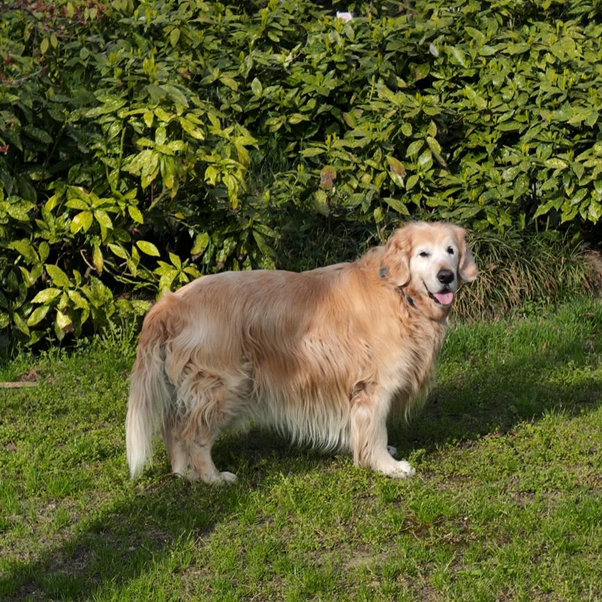 🇨🇳🇨🇳🏍️🏍️