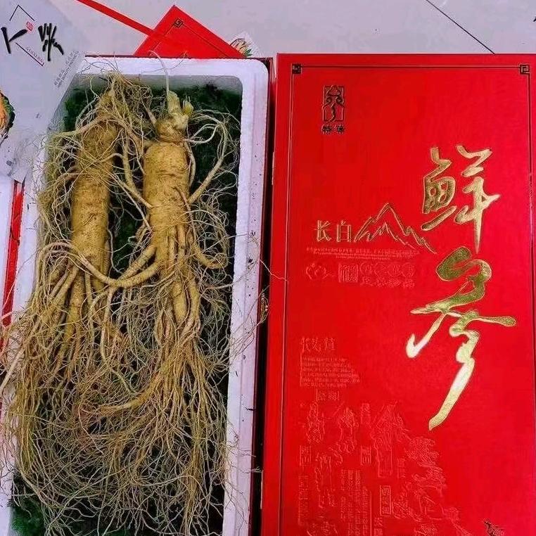 参缘堂