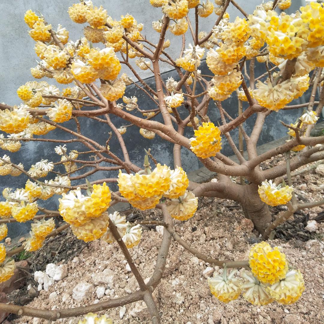 一抹儿阳光