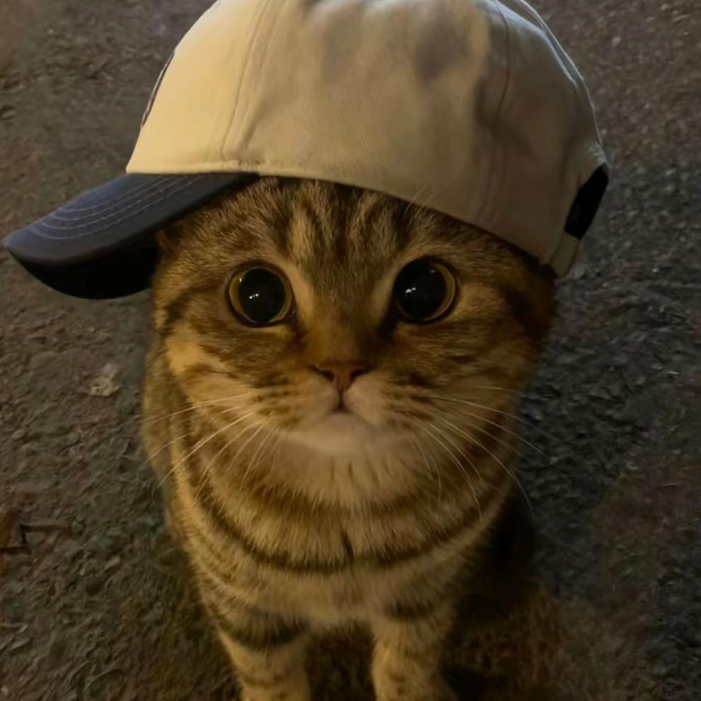 斌