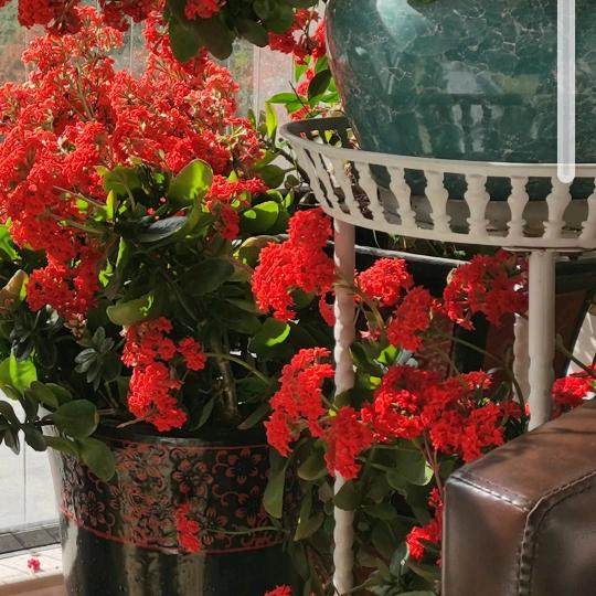 抱着⭐️⭐️等🌙