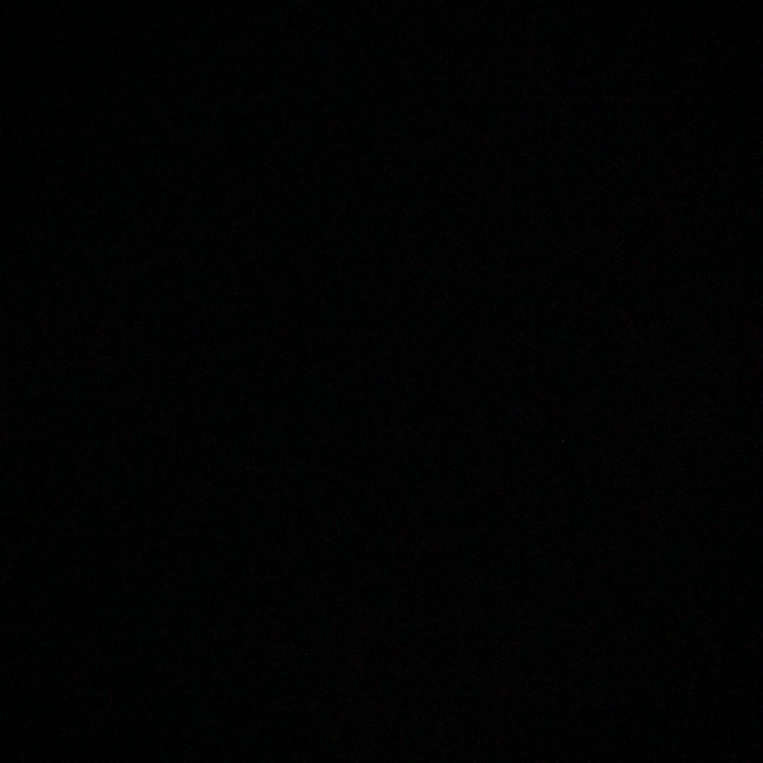 苟蹲