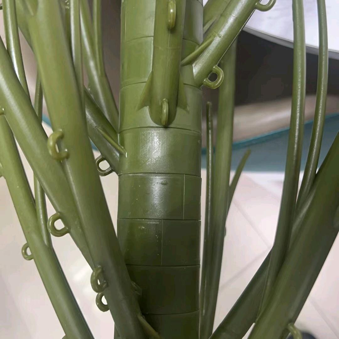 创绿林木塔尔鑫