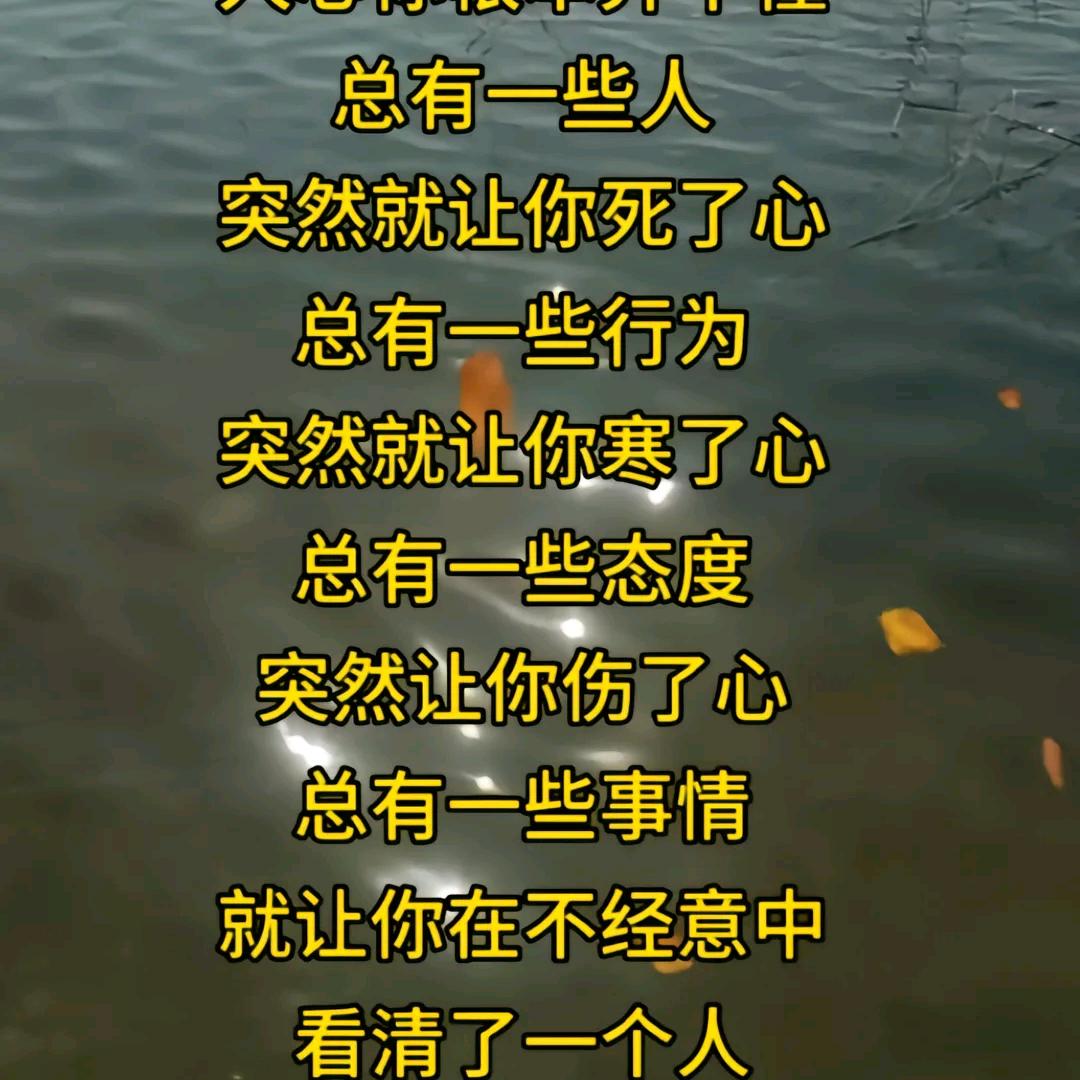 淡然若氺