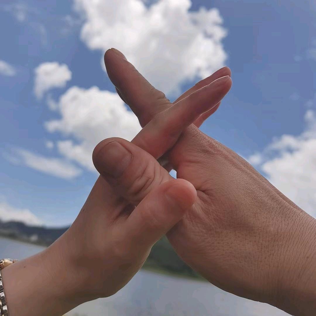 星沉D海