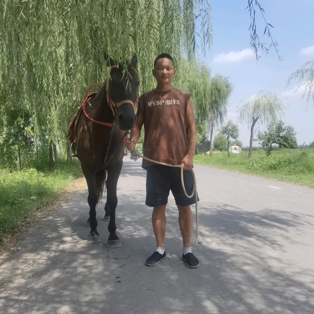 农村邵哥