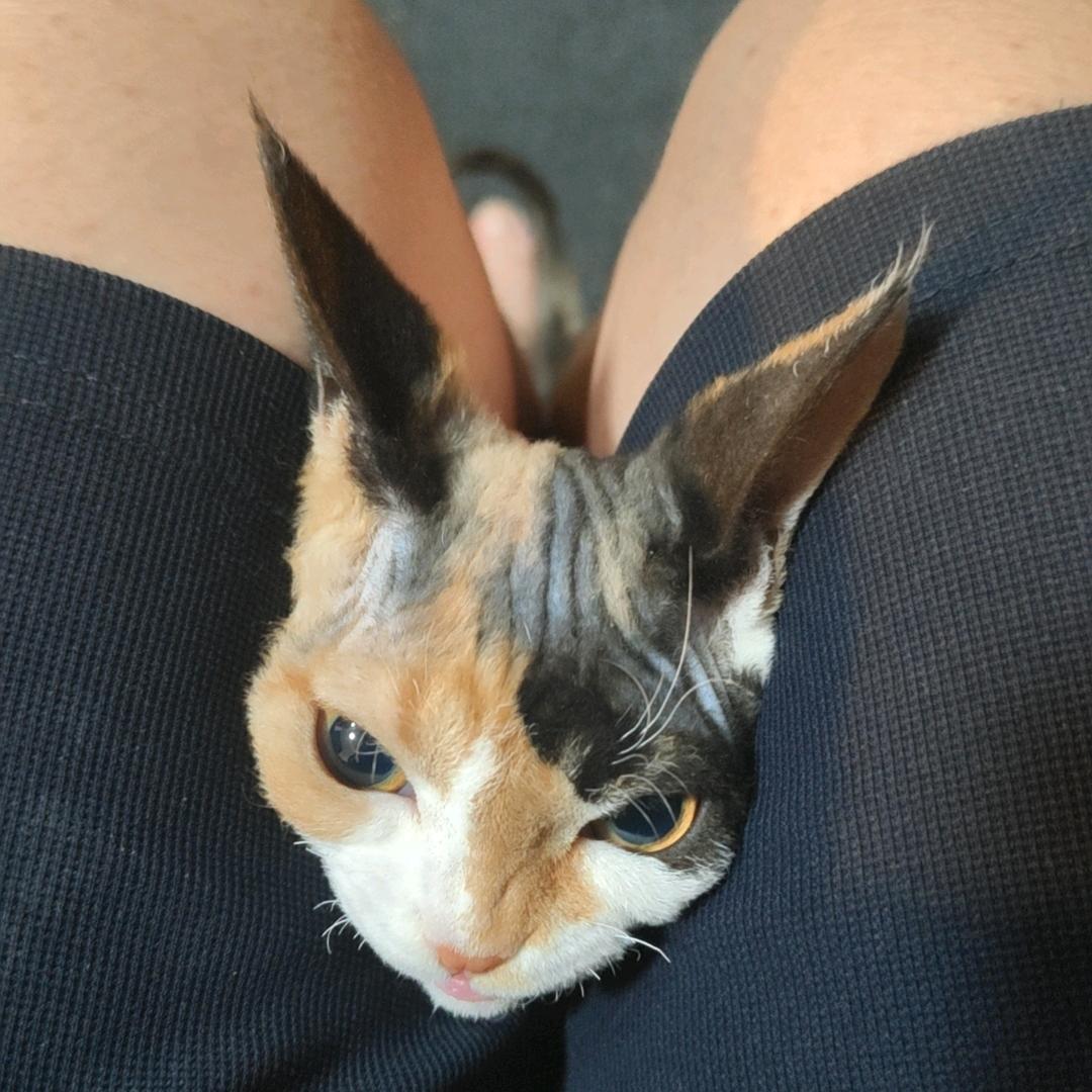 小胡