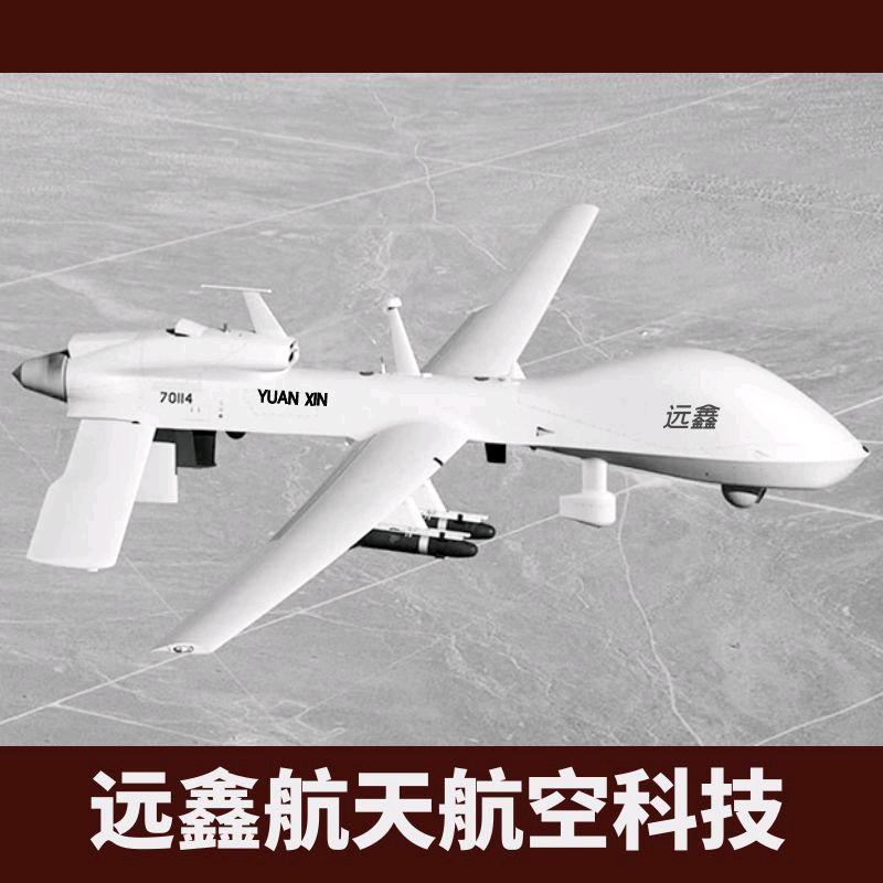低空发展师