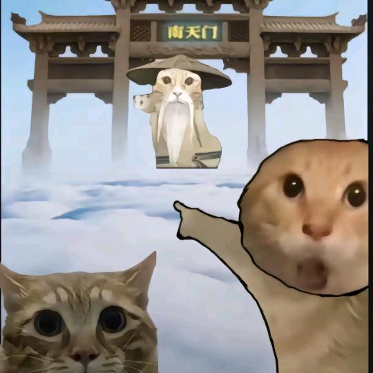 去码头整点薯条