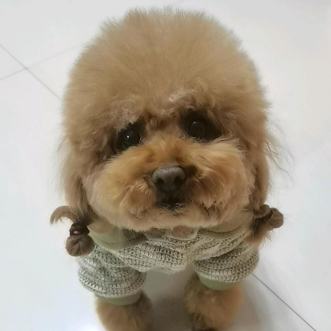 💥开心MOCO💥