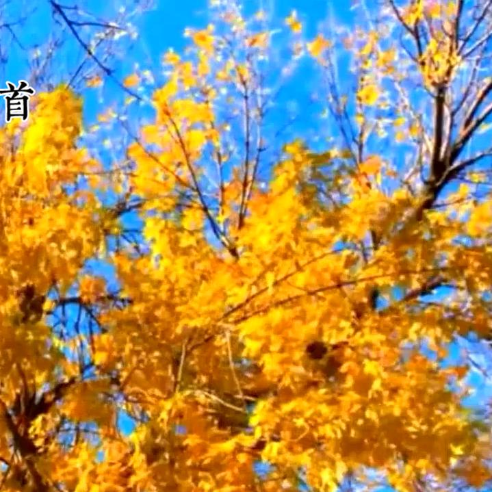 寒山657