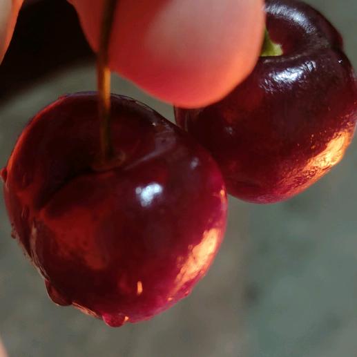 💞不᭄了꧔ꦿꦿ꯭了💞之༂