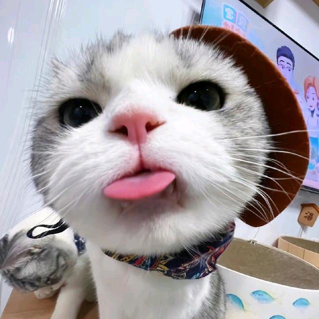 天真破