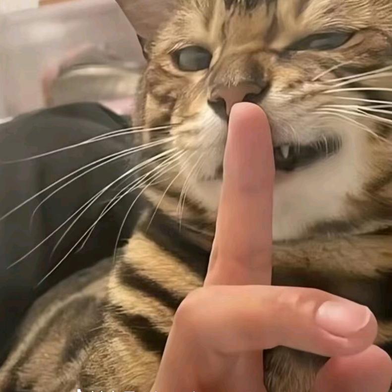 大鸡炖小蘑姑