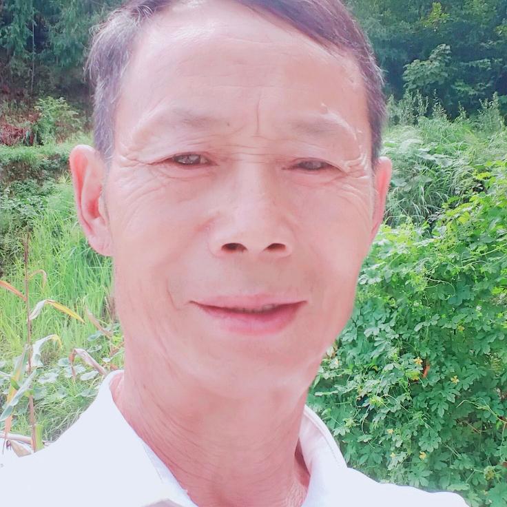 黄哥晚上(八点开播)