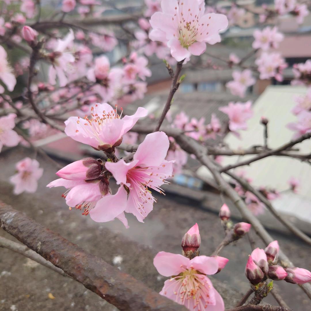涵旭的春秋冬夏