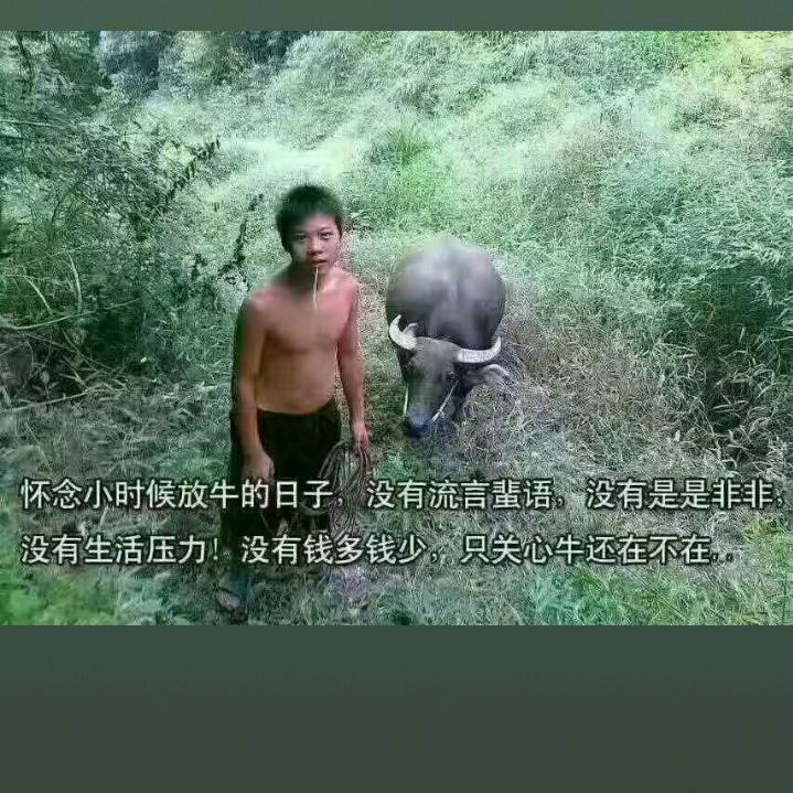 振作精神