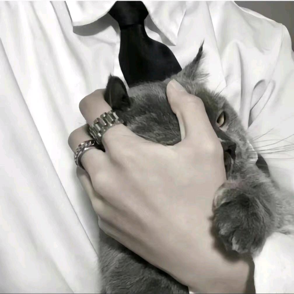 怪猫阿🎖️（和平精英）