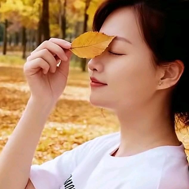 🍁枫叶🍁