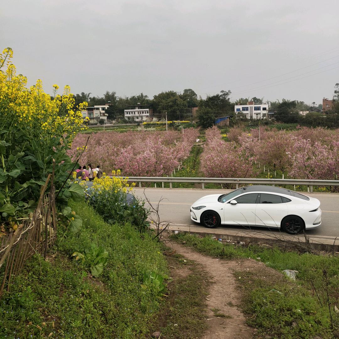 杨太绮头像