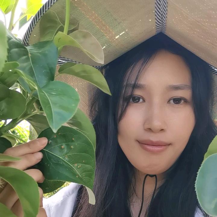 李同学说果树