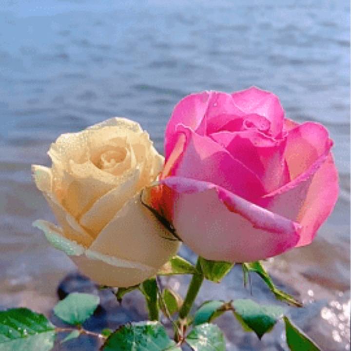 敏敏❤❤❤